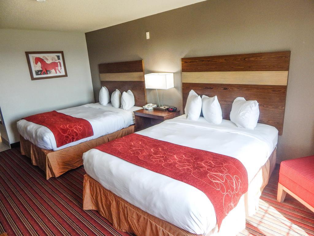 Country Inn & Suites By Radisson, Dfw Airport South, Tx Irving Bagian luar foto